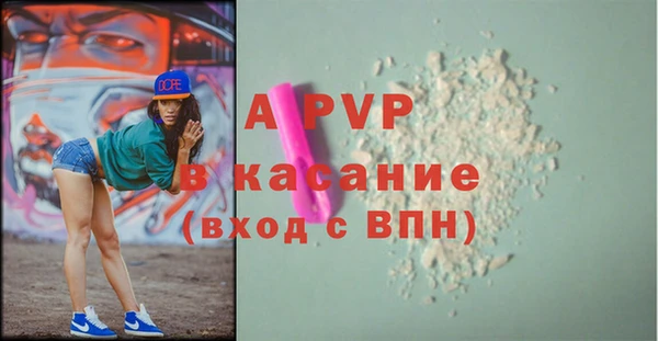шишки Осташков