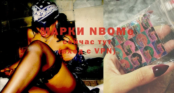 шишки Осташков