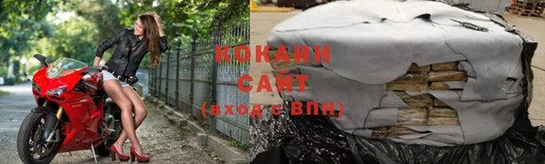 тгк Алзамай
