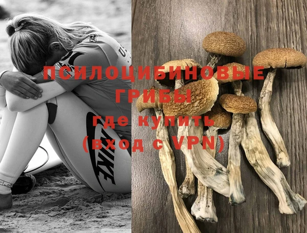каннабис Няндома