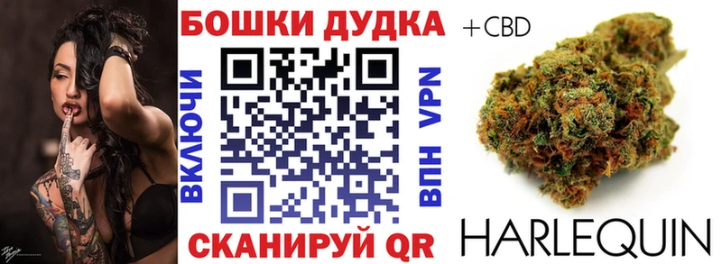 Шишки марихуана план где купить наркоту Чёрмоз